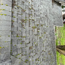 Moss-Removal-Roof-Cleaning-in-Pullman 1